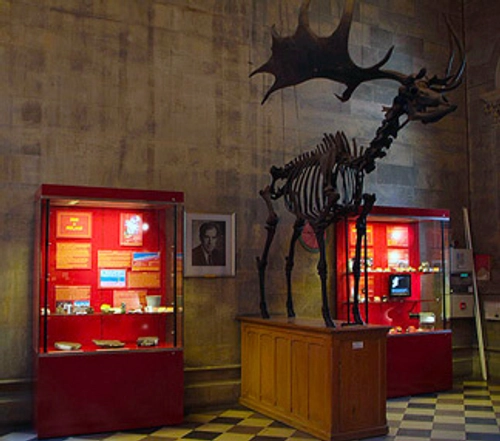 Museum Building, Trinity College Dublin.