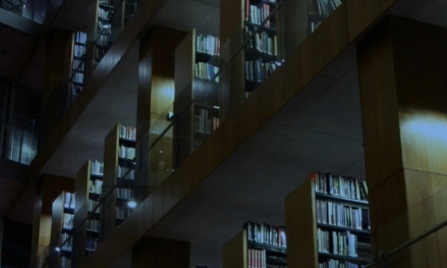 Book shelves in the Long Room. The image has a blue colouring over it