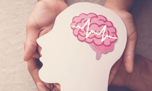 A person holding a model of a brain