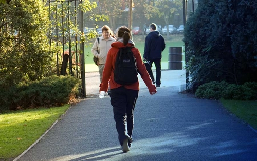 Academic relationships and institutional response