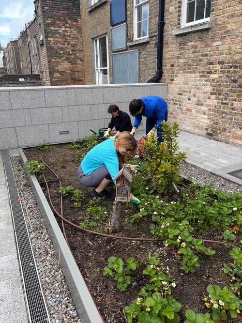 students planting crops