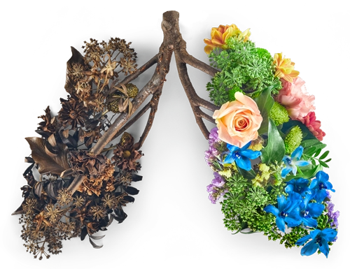 Stop smoking flowers in the shape of lungs