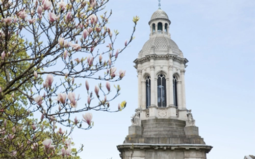 TCD top of Campanile in the spring