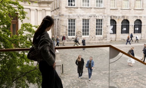 A student stands on the stairs outside The Long Room Hub overlooking Fellow's Square and the Old Library.