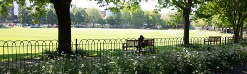 A person sitting on a bench on campus, shaded by trees.