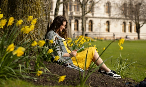 A student wearing a yellow dress, seated on the grass surrounded by daffodils reading a book on Trinity campus.