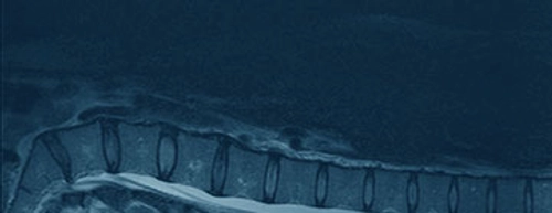 Centre for Advanced Medical Imaging