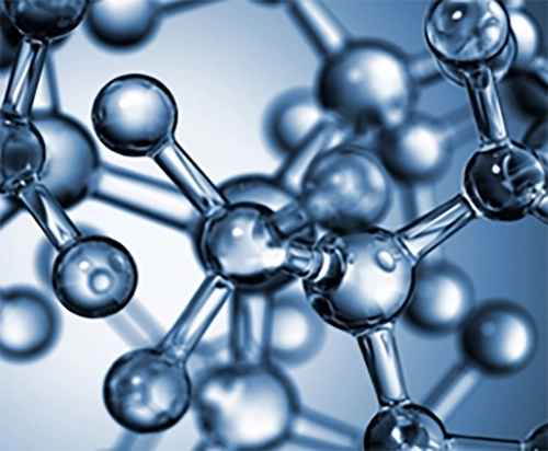 M.Sc. in Molecular Medicine course image