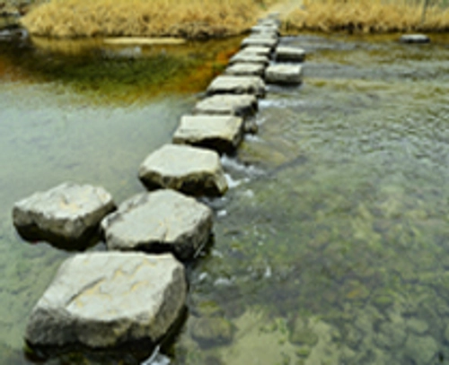 stepping stones
