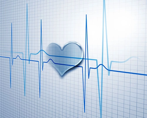 Cardiovascular-heart beat