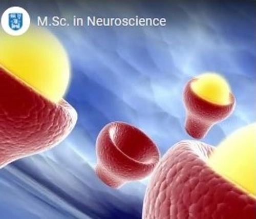 MSc Neuroscience