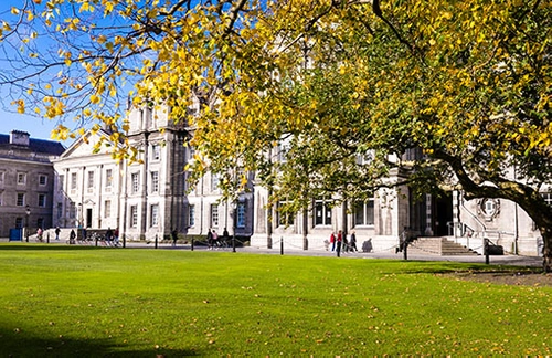 View of the GMB building with grass in front and a tree