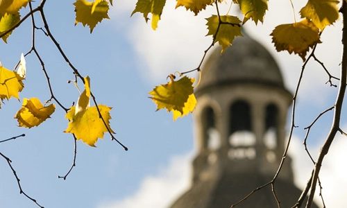 The Campanile framed by trees and leaves