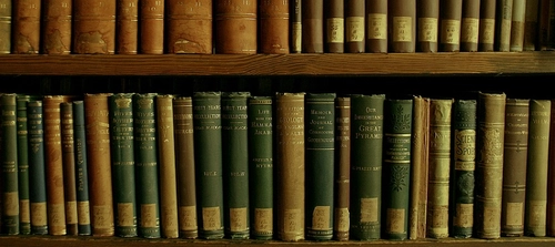 Library books in a library in Trinity