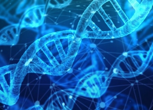 DNA illustrated in blue.