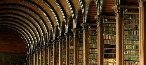 Wooden arch roof of the Long Room Library