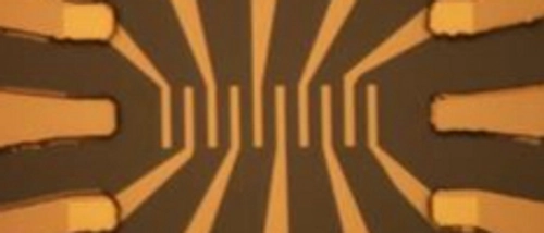 Beijing Collaboration