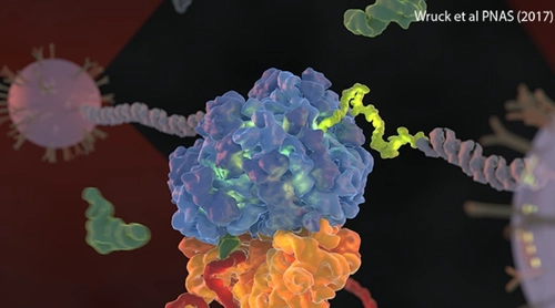 Nanobio Nanomechanics