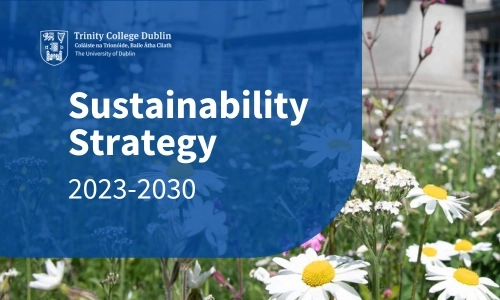 Graphic reading 'Sustainability Strategy 2023-2030'. Featuring Trinity logo and wildflower meadow in the background.