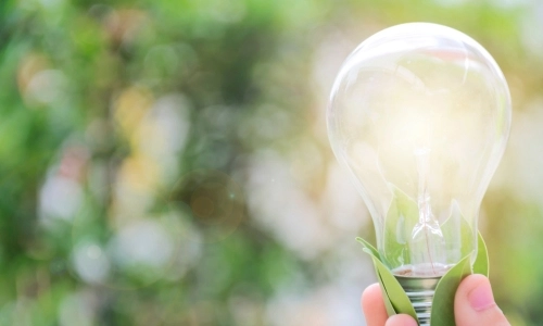 Image of a hand holding a lit lightbulb. There are leaves at the base of the bulb. Blurred greenery in the background.