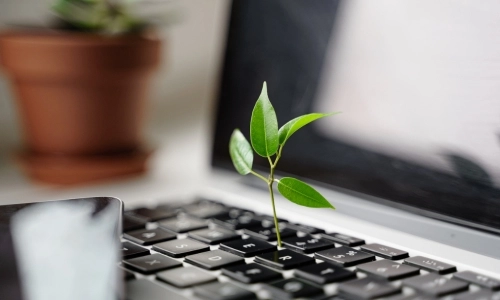 Close-up image of a tree sapling growing out of a laptop