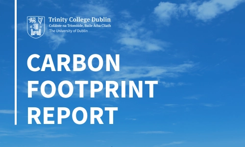 Graphic with blue sky in the background. White overlaid text reads 'Carbon Footprint Report'. White Trinity logo at the top.