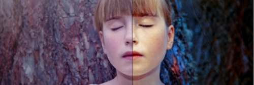 Graphics, Vision, Augmented and Virtual Reality