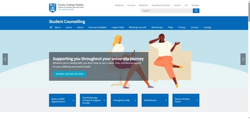 Website screenshot - student counselling