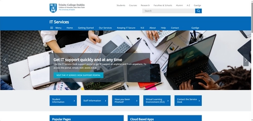 Website screenshot - IT