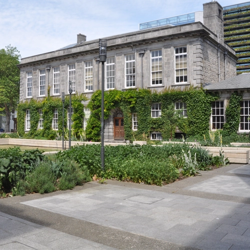 Photograph of the school of natural sciences at Trinity