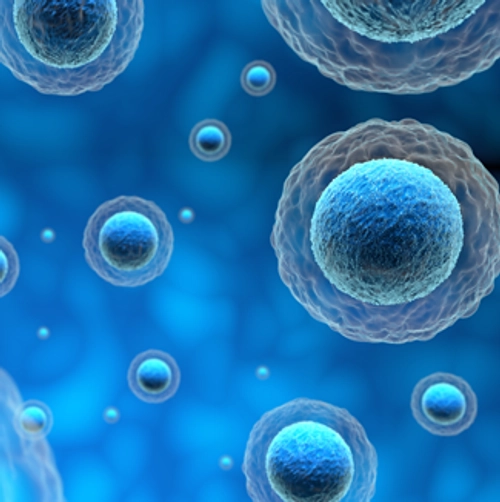 Translational Immunology, Inflammation and Infection diagram