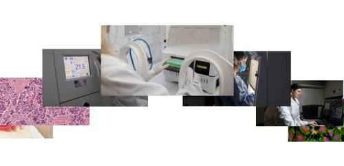 lab workers using medical equipment collage