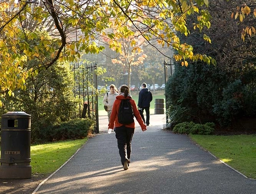 A student walking under a tree
