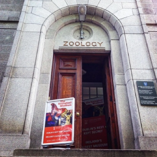 Zoology Museum Gallery 5