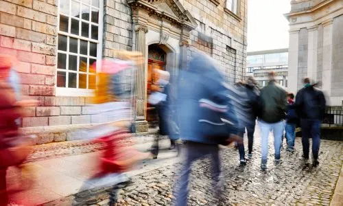 undergraduate life cycle