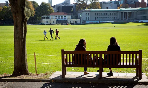 Trinity College cricket pitch