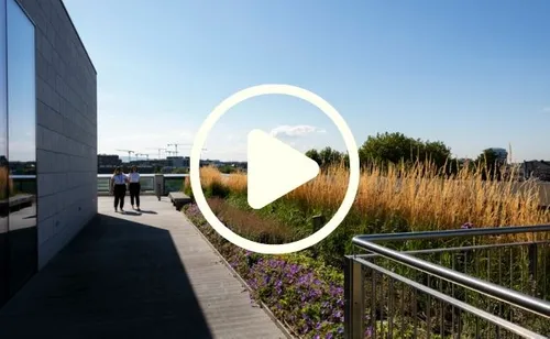 An external shot of the school