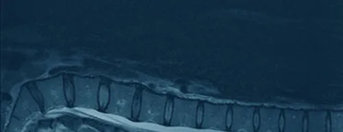 Centre for Advanced Medical Imaging