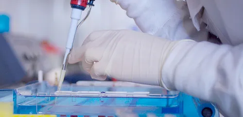 Medical technicians working with samples