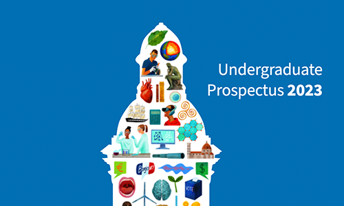 TCD Campanile graphic