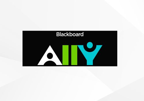 Ally Logo