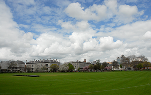 Cricket field