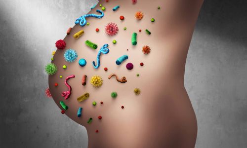 A diagram of a pregnancy with different symbols capturing germs, bacteria, nutrients and chemicals that can enter the body