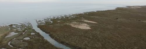 Saltmarshes