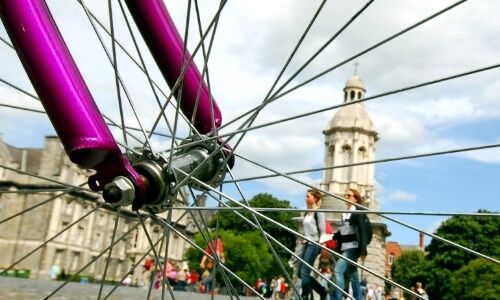The spokes of a bike wheel