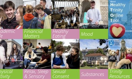 Healthy Trinity Online Tool screenshot