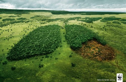 2 forests with trees in the shape of lungs