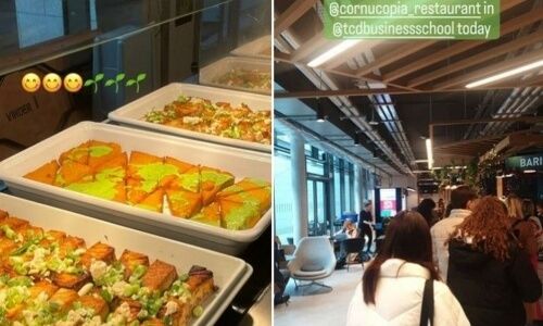 Cornucopia on Campus