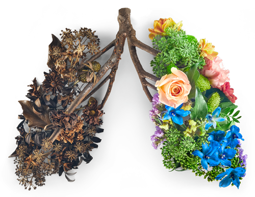 Stop smoking flowers in the shape of lungs