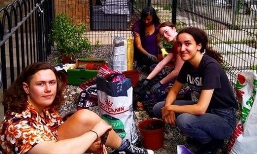 Urban Garden on Campus